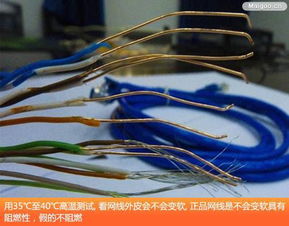 如何选择高质量的网络线 从入门到精通教