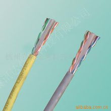 杭州立能信息科技网络线产品列表与选型指南