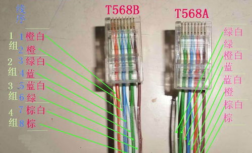 网口定义、网线类型与网络连线的全面解析 —— 从CSDN视角看布线基础